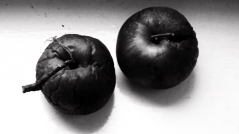 Kliknij na zdjęcie, żeby zobaczyć w pełnych wymiarach