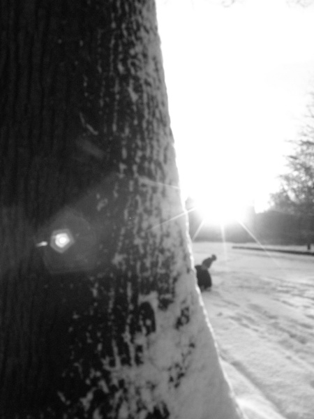 Kliknij na zdjęcie, żeby zobaczyć w pełnych wymiarach