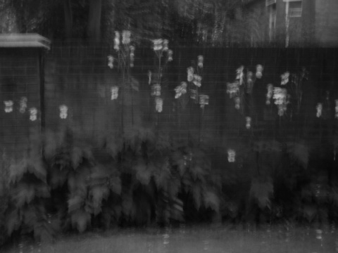 Kliknij na zdjęcie, żeby zobaczyć w pełnych wymiarach