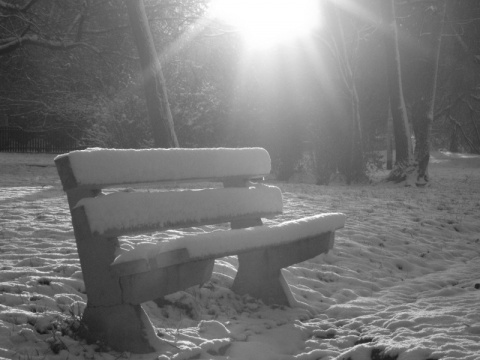 Kliknij na zdjęcie, żeby zobaczyć w pełnych wymiarach