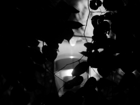 Kliknij na zdjęcie, żeby zobaczyć w pełnych wymiarach