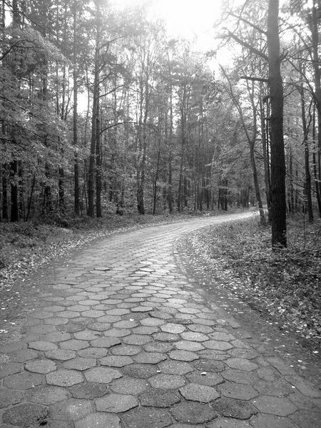 Kliknij na zdjęcie, żeby zobaczyć w pełnych wymiarach