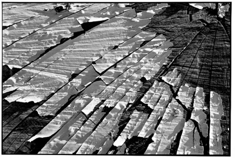 Kliknij na zdjęcie, żeby zobaczyć w pełnych wymiarach