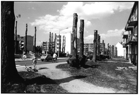 Kliknij na zdjęcie, żeby zobaczyć w pełnych wymiarach