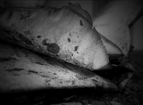 Kliknij na zdjęcie, żeby zobaczyć w pełnych wymiarach