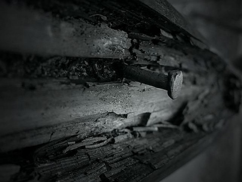 Kliknij na zdjęcie, żeby zobaczyć w pełnych wymiarach