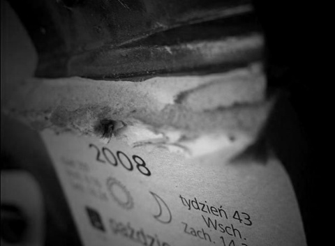 Kliknij na zdjęcie, żeby zobaczyć w pełnych wymiarach