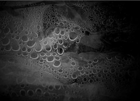 Kliknij na zdjęcie, żeby zobaczyć w pełnych wymiarach