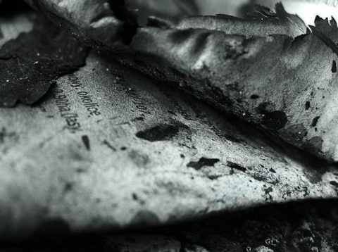 Kliknij na zdjęcie, żeby zobaczyć w pełnych wymiarach