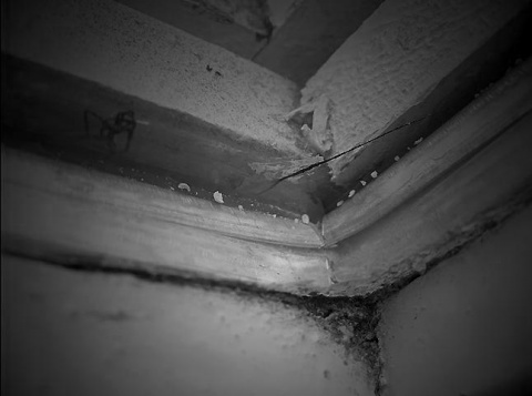 Kliknij na zdjęcie, żeby zobaczyć w pełnych wymiarach