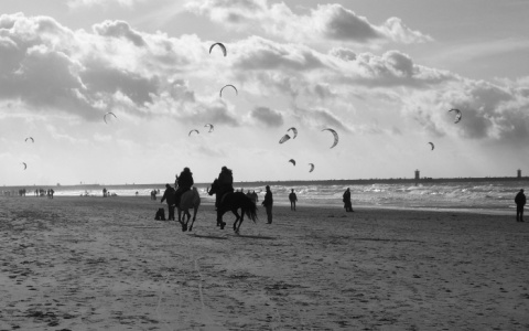 Kliknij na zdjęcie, żeby zobaczyć w pełnych wymiarach