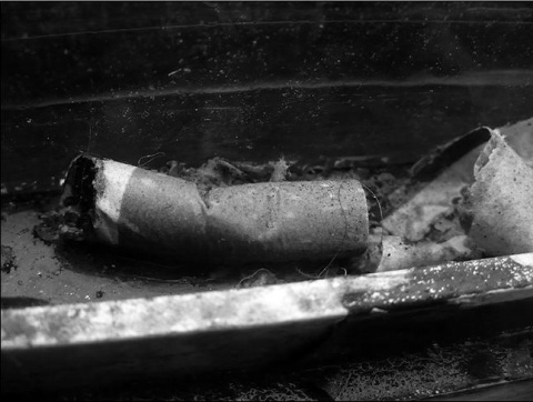 Kliknij na zdjęcie, żeby zobaczyć w pełnych wymiarach