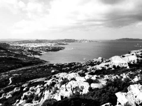 Kliknij na zdjęcie, żeby zobaczyć w pełnych wymiarach