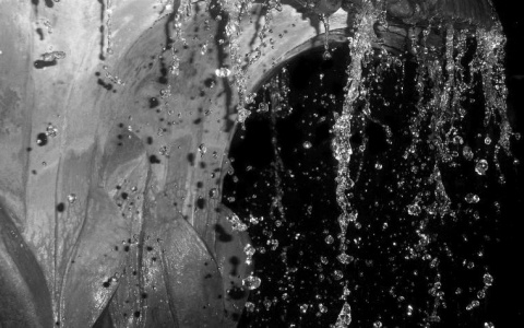 Kliknij na zdjęcie, żeby zobaczyć w pełnych wymiarach