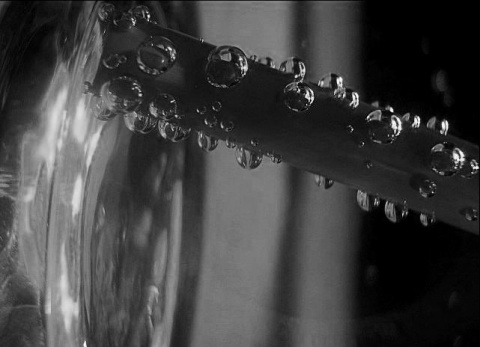 Kliknij na zdjęcie, żeby zobaczyć w pełnych wymiarach