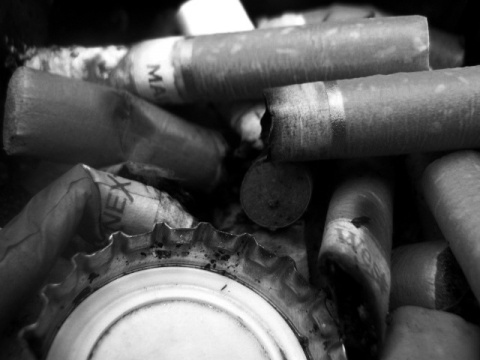 Kliknij na zdjęcie, żeby zobaczyć w pełnych wymiarach