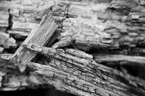 Kliknij na zdjęcie, żeby zobaczyć w pełnych wymiarach