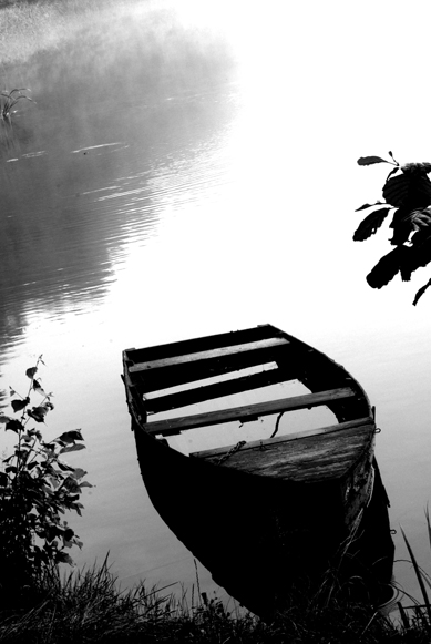 Kliknij na zdjęcie, żeby zobaczyć w pełnych wymiarach