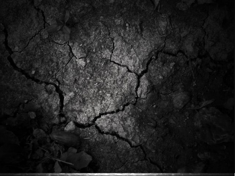 Kliknij na zdjęcie, żeby zobaczyć w pełnych wymiarach