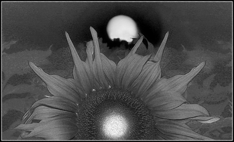 Kliknij na zdjęcie, żeby zobaczyć w pełnych wymiarach