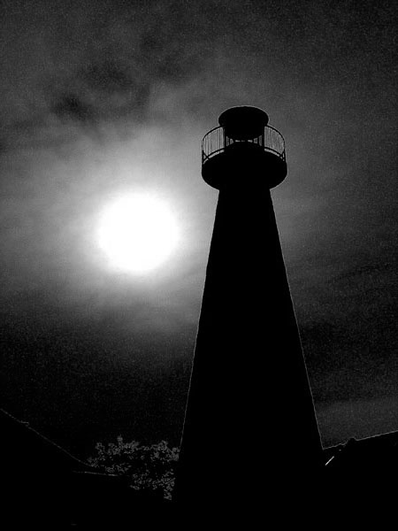 Kliknij na zdjęcie, żeby zobaczyć w pełnych wymiarach