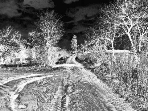 Kliknij na zdjęcie, żeby zobaczyć w pełnych wymiarach