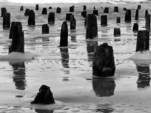 Kliknij na zdjęcie, żeby zobaczyć w pełnych wymiarach