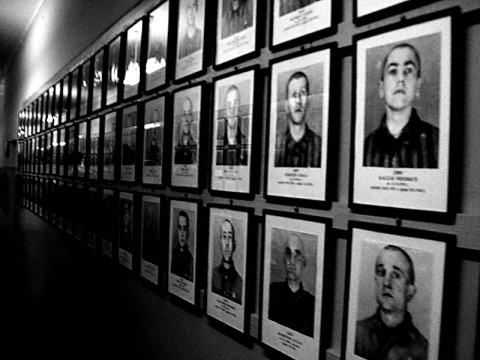 Kliknij na zdjęcie, żeby zobaczyć w pełnych wymiarach