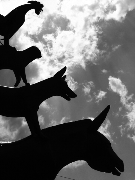 Kliknij na zdjęcie, żeby zobaczyć w pełnych wymiarach