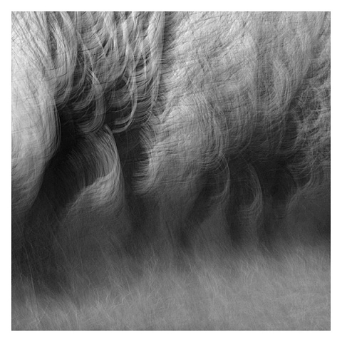 Kliknij na zdjęcie, żeby zobaczyć w pełnych wymiarach