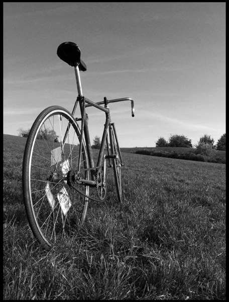 Kliknij na zdjęcie, żeby zobaczyć w pełnych wymiarach