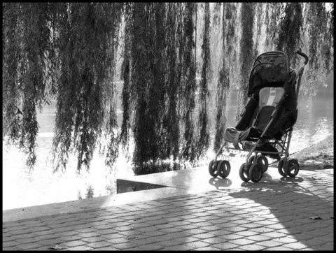 Kliknij na zdjęcie, żeby zobaczyć w pełnych wymiarach