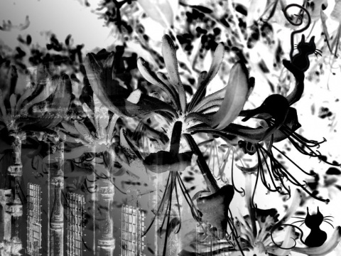 Kliknij na zdjęcie, żeby zobaczyć w pełnych wymiarach