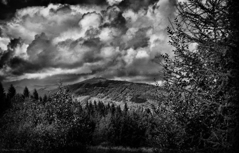 Kliknij na zdjęcie, żeby zobaczyć w pełnych wymiarach