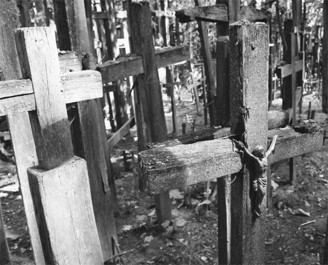 Kliknij na zdjęcie, żeby zobaczyć w pełnych wymiarach