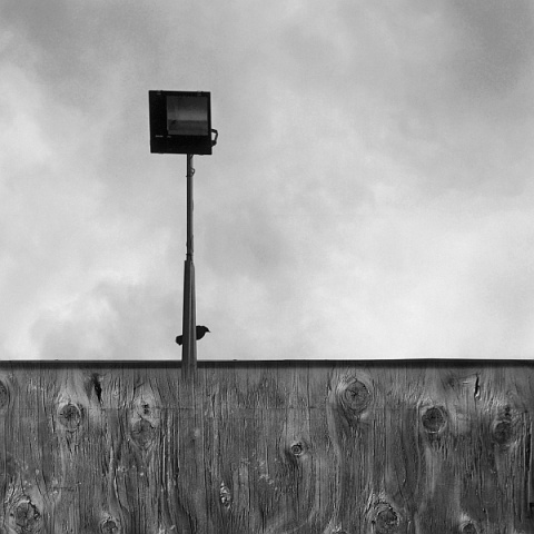 Kliknij na zdjęcie, żeby zobaczyć w pełnych wymiarach