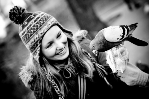 Kliknij na zdjęcie, żeby zobaczyć w pełnych wymiarach