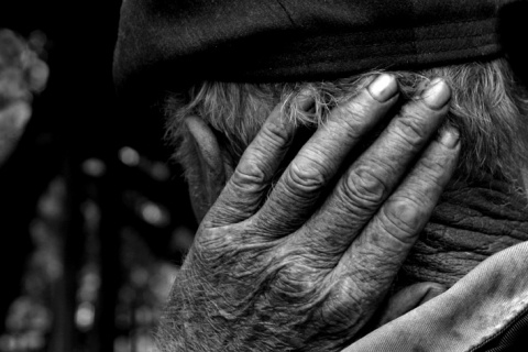 Kliknij na zdjęcie, żeby zobaczyć w pełnych wymiarach