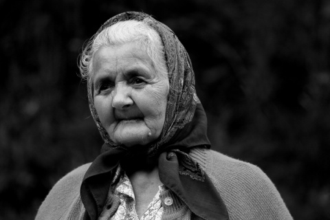 Kliknij na zdjęcie, żeby zobaczyć w pełnych wymiarach
