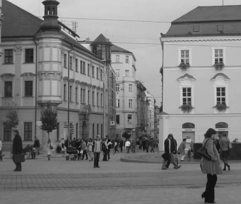 Kliknij na zdjęcie, żeby zobaczyć w pełnych wymiarach