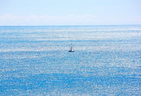 Kliknij na zdjęcie, żeby zobaczyć w pełnych wymiarach