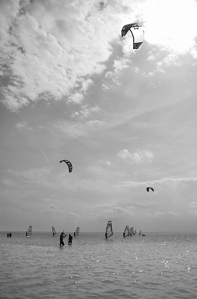 Kliknij na zdjęcie, żeby zobaczyć w pełnych wymiarach