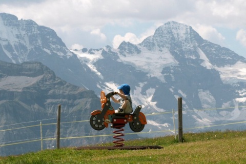 Kliknij na zdjęcie, żeby zobaczyć w pełnych wymiarach