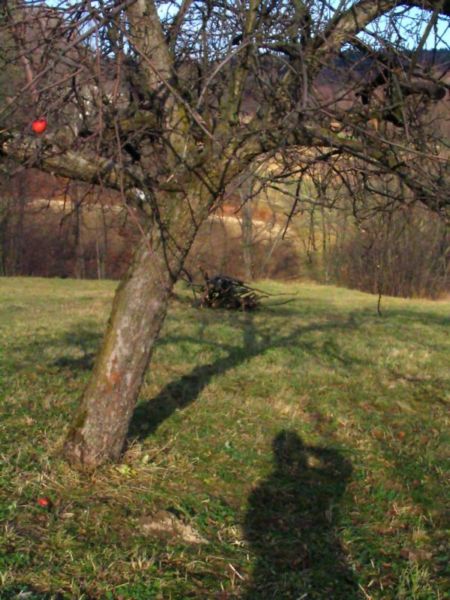 Kliknij na zdjęcie, żeby zobaczyć w pełnych wymiarach