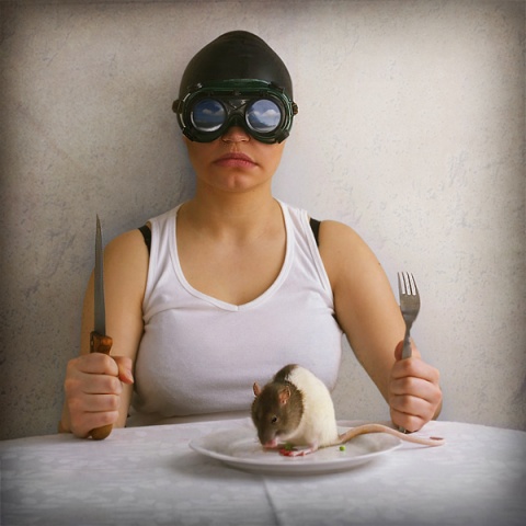 Kliknij na zdjęcie, żeby zobaczyć w pełnych wymiarach