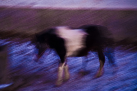 Kliknij na zdjęcie, żeby zobaczyć w pełnych wymiarach