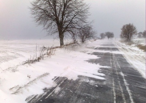 Kliknij na zdjęcie, żeby zobaczyć w pełnych wymiarach