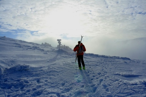Kliknij na zdjęcie, żeby zobaczyć w pełnych wymiarach