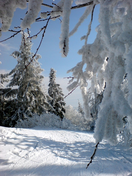 Kliknij na zdjęcie, żeby zobaczyć w pełnych wymiarach