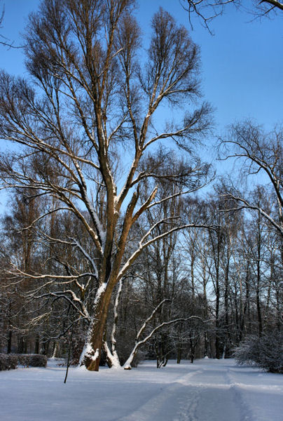 Kliknij na zdjęcie, żeby zobaczyć w pełnych wymiarach